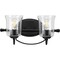 Progress Lighting Bowman Collection Black Two-Light Bath P300254-031 - alternate 4